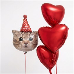 Набор шаров кот "ты супер" сердцами 10111