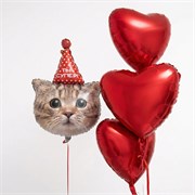 Набор шаров кот 