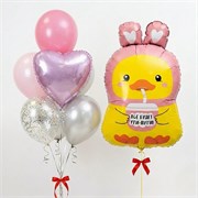 Набор шаров уточка 